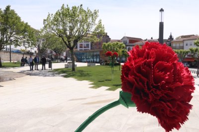 Cravos 25 de abril